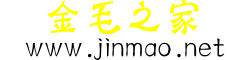 金毛之家